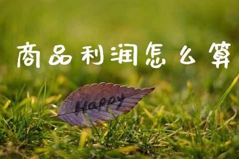商品利润怎么算_https://m.eyunqq.com_新股申购_第1张