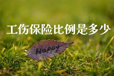 工伤保险比例是多少_https://m.eyunqq.com_融资融券_第1张