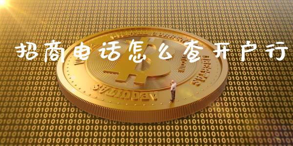 招商电话怎么查开户行_https://m.eyunqq.com_期货投资学习_第1张