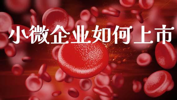 小微企业如何上市_https://m.eyunqq.com_融资融券_第1张