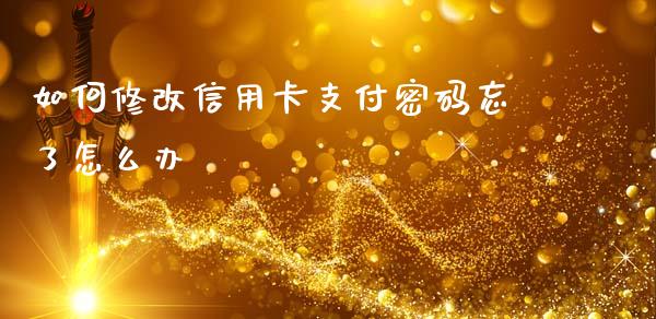 如何修改信用卡支付密码忘了怎么办_https://m.eyunqq.com_新股申购_第1张
