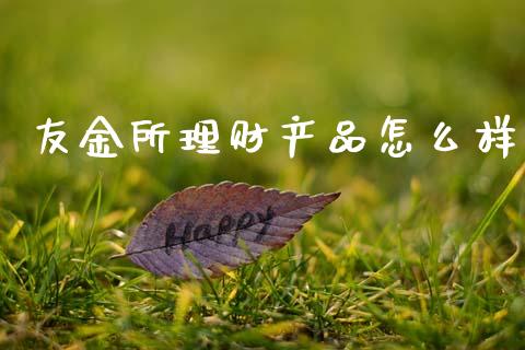 友金所理财产品怎么样_https://m.eyunqq.com_新股申购_第1张
