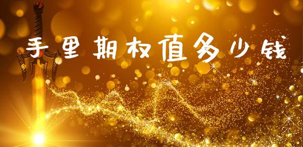 手里期权值多少钱_https://m.eyunqq.com_期货投资学习_第1张