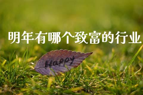 明年有哪个致富的行业_https://m.eyunqq.com_融资融券_第1张