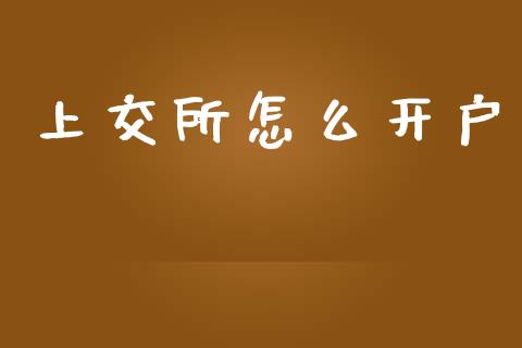 上交所怎么开户_https://m.eyunqq.com_基金交易_第1张
