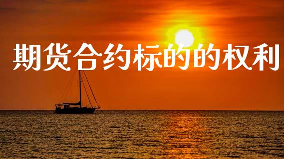 期货合约标的的权利_https://m.eyunqq.com_融资融券_第1张