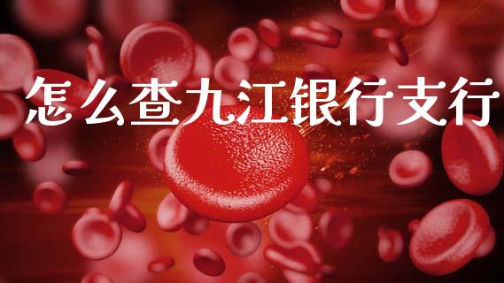 怎么查九江银行支行_https://m.eyunqq.com_新股申购_第1张