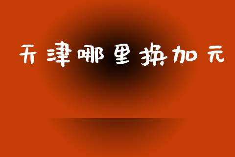 天津哪里换加元_https://m.eyunqq.com_期货投资学习_第1张