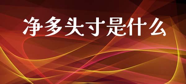 净多头寸是什么_https://m.eyunqq.com_基金交易_第1张