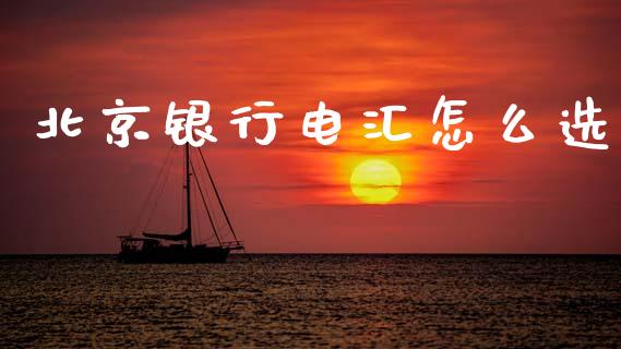 北京银行电汇怎么选_https://m.eyunqq.com_期货投资学习_第1张
