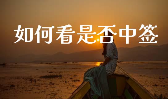 如何看是否中签_https://m.eyunqq.com_融资融券_第1张
