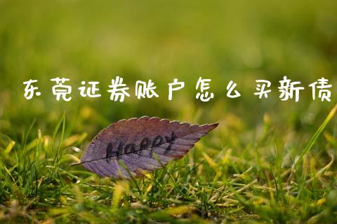 东莞证券账户怎么买新债_https://m.eyunqq.com_融资融券_第1张