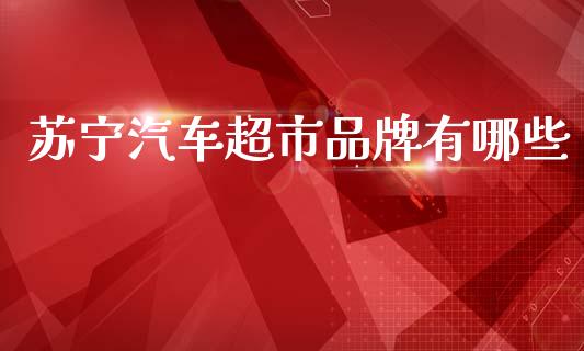 苏宁汽车超市品牌有哪些_https://m.eyunqq.com_期货投资学习_第1张