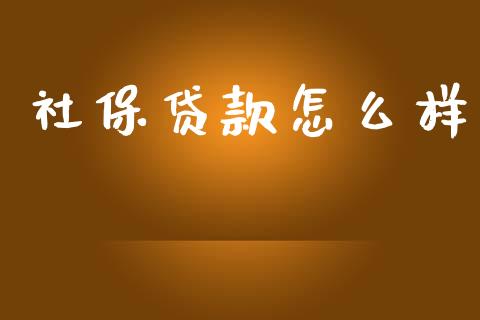 社保贷款怎么样_https://m.eyunqq.com_新股申购_第1张