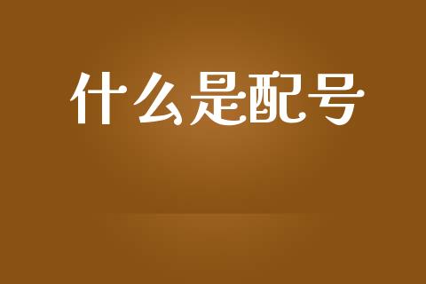 什么是配号_https://m.eyunqq.com_期货投资学习_第1张