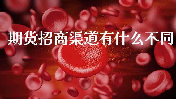 期货招商渠道有什么不同_https://m.eyunqq.com_期货投资学习_第1张