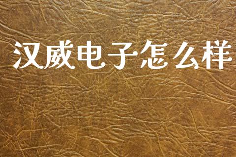 汉威电子怎么样_https://m.eyunqq.com_基金交易_第1张