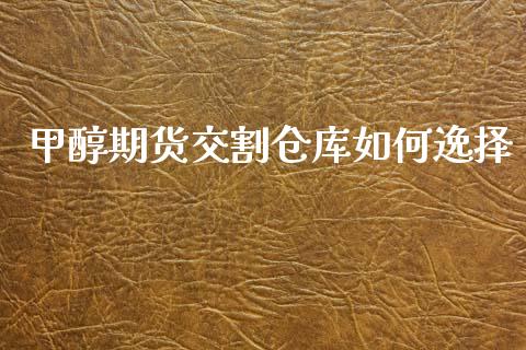甲醇期货交割仓库如何逸择_https://m.eyunqq.com_新股申购_第1张