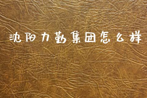 沈阳力勤集团怎么样_https://m.eyunqq.com_新股申购_第1张