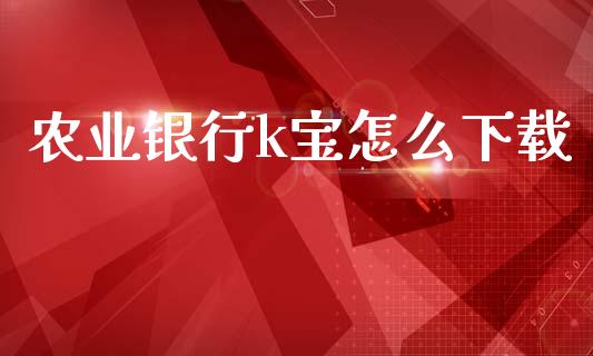 农业银行k宝怎么下载_https://m.eyunqq.com_基金交易_第1张