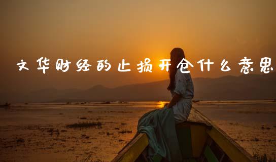 文华财经的止损开仓什么意思_https://m.eyunqq.com_新股申购_第1张