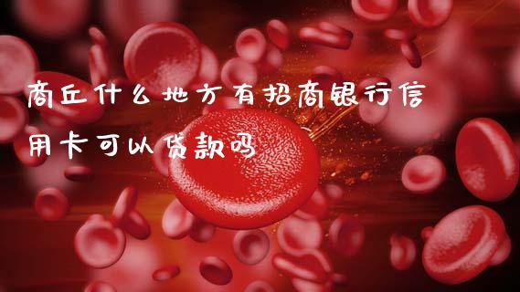 商丘什么地方有招商银行信用卡可以贷款吗_https://m.eyunqq.com_融资融券_第1张