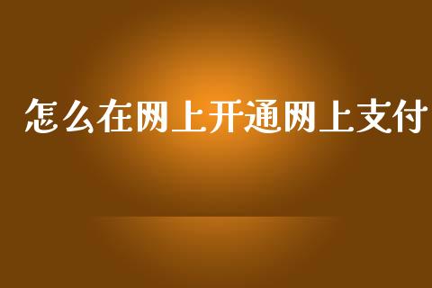 怎么在网上开通网上支付_https://m.eyunqq.com_新股申购_第1张