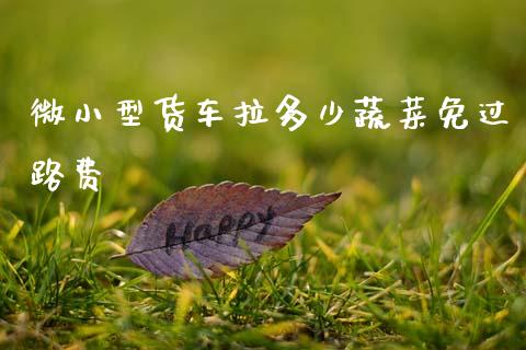微小型货车拉多少蔬菜免过路费_融资融券_第1张_期货投资学习_新股申购_融资融券_基金交易 微小型货车拉多少蔬菜免过路费_https://m.eyunqq.com_融资融券_第1张