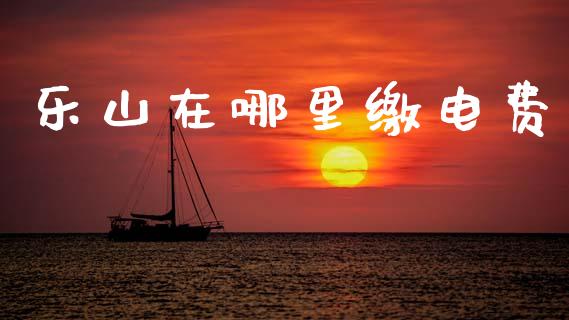 乐山在哪里缴电费_https://m.eyunqq.com_基金交易_第1张