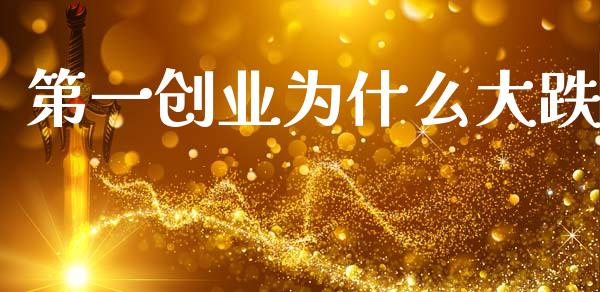 第一创业为什么大跌_https://m.eyunqq.com_基金交易_第1张