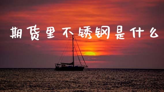 期货里不锈钢是什么_https://m.eyunqq.com_基金交易_第1张