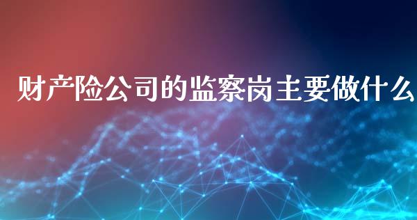 财产险公司的监察岗主要做什么_https://m.eyunqq.com_融资融券_第1张