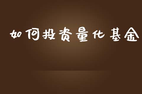 如何投资量化基金_https://m.eyunqq.com_融资融券_第1张