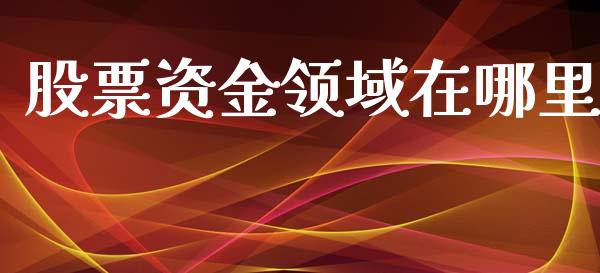 股票资金领域在哪里_https://m.eyunqq.com_融资融券_第1张
