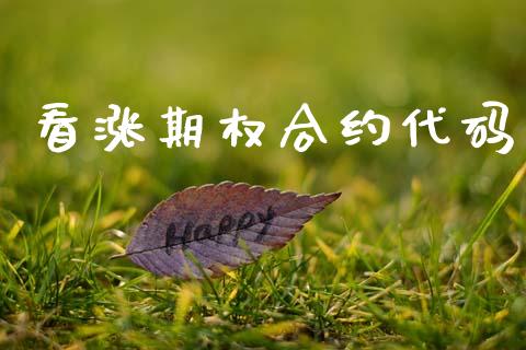看涨期权合约代码_https://m.eyunqq.com_新股申购_第1张