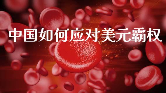 中国如何应对美元霸权_https://m.eyunqq.com_基金交易_第1张