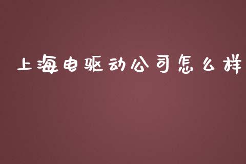 上海电驱动公司怎么样_https://m.eyunqq.com_期货投资学习_第1张