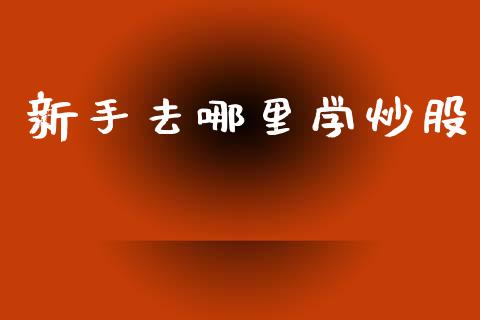 新手去哪里学炒股_https://m.eyunqq.com_融资融券_第1张