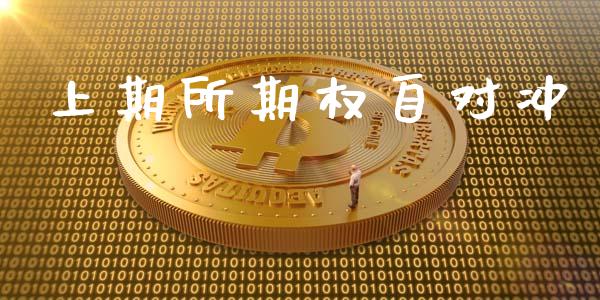 上期所期权自对冲_https://m.eyunqq.com_期货投资学习_第1张