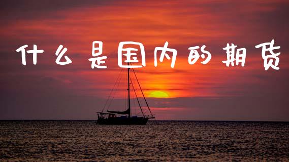 什么是国内的期货_https://m.eyunqq.com_期货投资学习_第1张