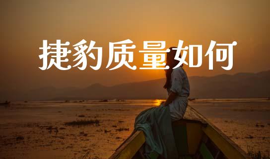 捷豹质量如何_https://m.eyunqq.com_新股申购_第1张