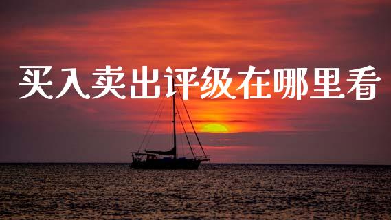 买入卖出评级在哪里看_https://m.eyunqq.com_融资融券_第1张