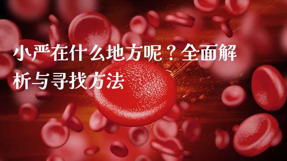 小严在什么地方呢?全面解析与寻找方法_新股申购_第1张_期货投资学习_新股申购_融资融券_基金交易 小严在什么地方呢?全面解析与寻找方法_https://m.eyunqq.com_新股申购_第1张