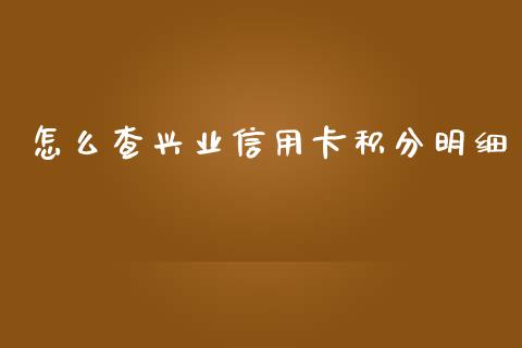 怎么查兴业信用卡积分明细_https://m.eyunqq.com_期货投资学习_第1张