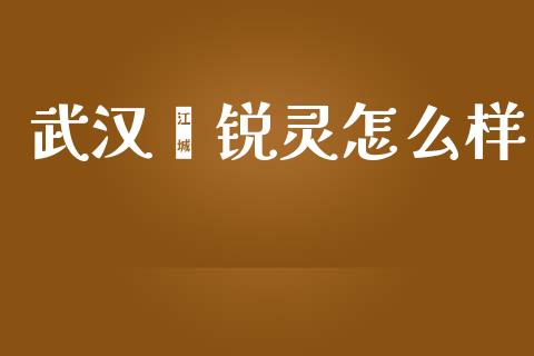 武汉鑫锐灵怎么样_https://m.eyunqq.com_新股申购_第1张