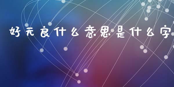 好元良什么意思是什么字_https://m.eyunqq.com_基金交易_第1张