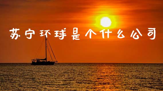 苏宁环球是个什么公司_https://m.eyunqq.com_基金交易_第1张