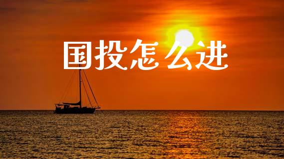 国投怎么进_https://m.eyunqq.com_融资融券_第1张