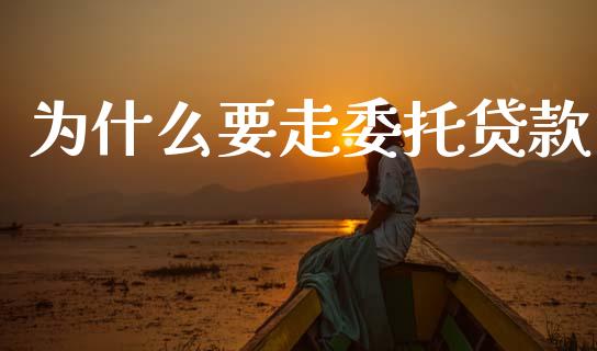 为什么要走委托贷款_https://m.eyunqq.com_融资融券_第1张