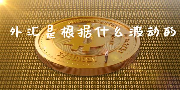 外汇是根据什么波动的_https://m.eyunqq.com_期货投资学习_第1张